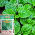 Hạt giống Mồng tơi PN - Gói 20 gram